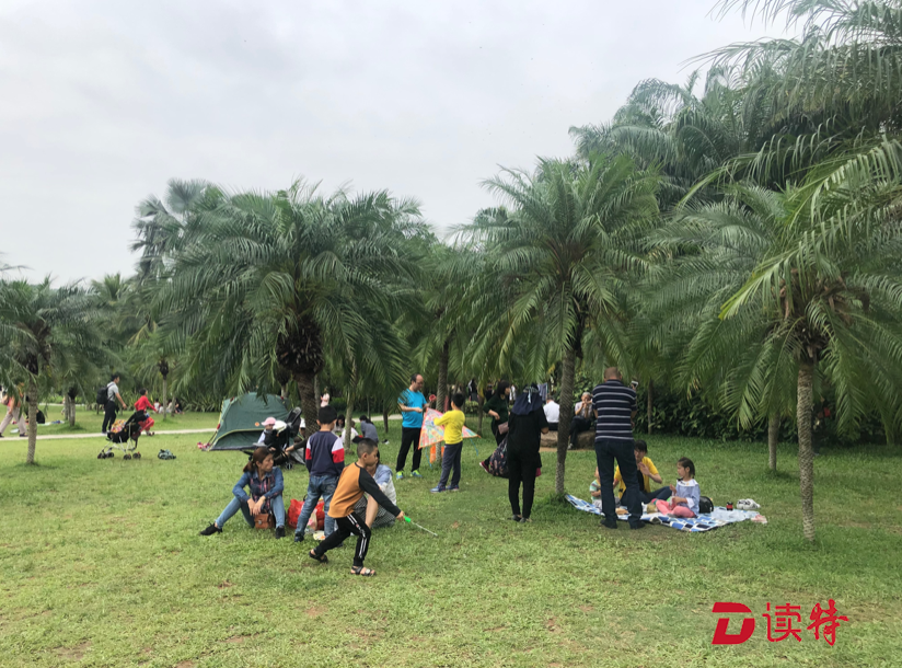 五一假期文明旅游成为深圳最美风景线，你看到了吗？