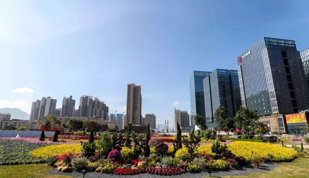 4个关键词从坪山中心区建设看创新坪山的发展