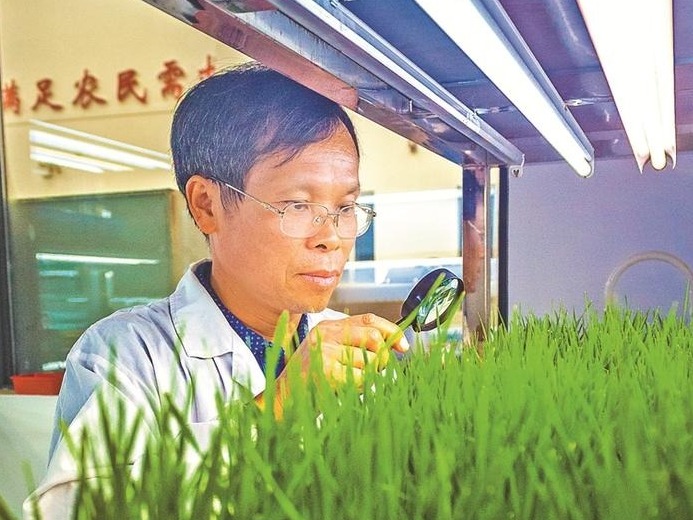爱国情 奋斗者｜李谱超：“让农民受益是我的梦想”