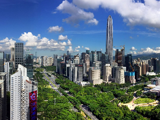  “社会组织党的建设”学术沙龙举行