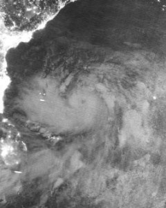 热带气旋“法尼”造成印度12人死亡