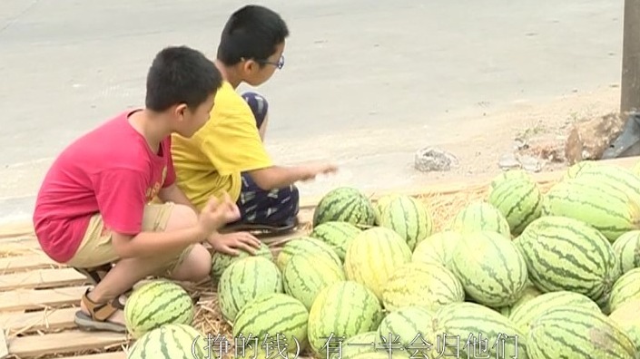 广东一家长买万斤西瓜让孩子卖：让他体验付出和收获