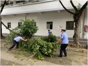 燕罗街道网格员全员出动排查各种隐患防御台风