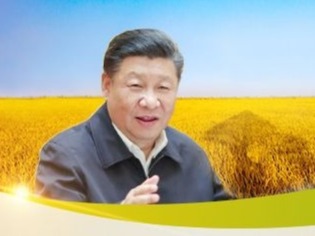 东西部“携手奔小康”，总书记指示这么干！