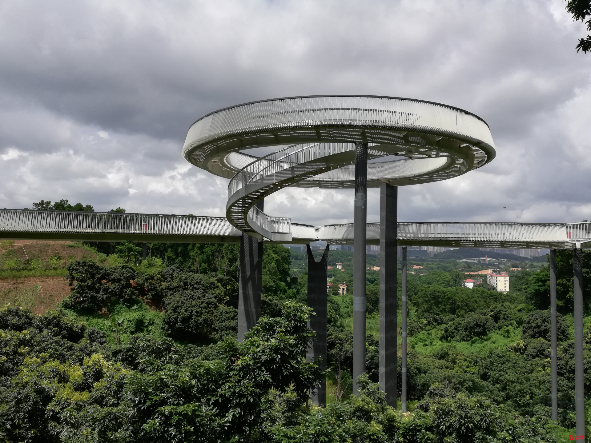 刺激!体验官"尝鲜"打卡光明小镇绿道三桥