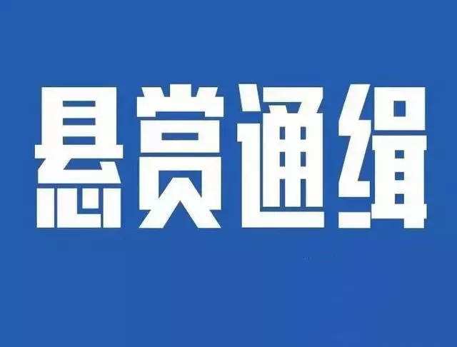 记住这50张脸！看到马上报警！最高可获10万元奖励