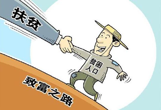 东西结缘情暖边关！龙岗区与广西靖西结对帮扶惠民生暖民心