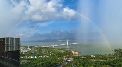 绚丽彩虹横跨深圳湾大桥