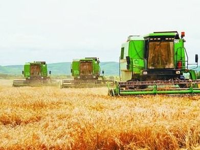 深入实施乡村振兴战略，书写好中华民族伟大复兴的“三农”新篇章