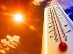 深圳发布高温黄色预警，最高气温或飙升至35℃以上