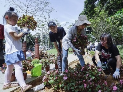 深圳推出首个社区共建花园，就在福田这个地方！