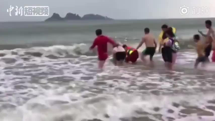 海豚搁浅被游客送回大海 以后可不要再迷路了呀！