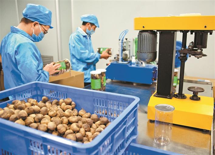 大局 | 同饮东江水 共筑深河情！深圳帮扶河源3万多名贫困群众实现预脱贫