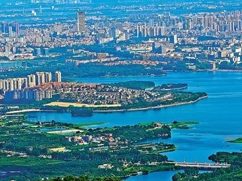 东莞将举全市之力深度参与粤港澳大湾区建设