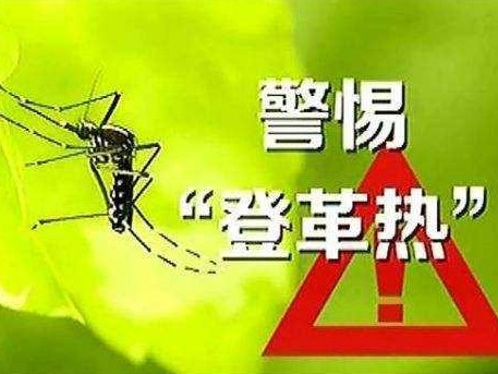 注意！这种疾病感染风险较高，深圳过半监测点都发现“元凶”身影