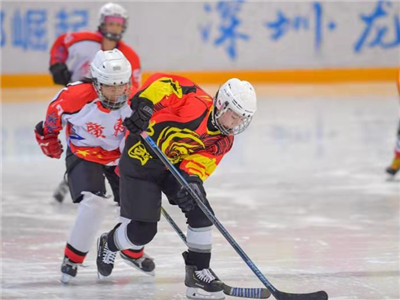 广东省青少年冰球锦标赛开幕