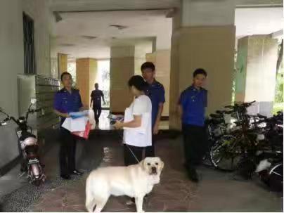 罚款1.5万余元，深圳“睦犬三号”行动立案处罚33宗