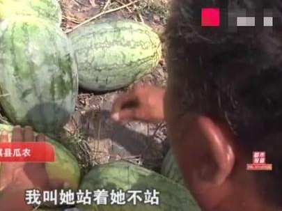 警方通报“瓜农抓贼倒赔三百”：启动执法监督程序   