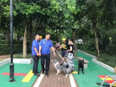 “睦犬行动”出击，深圳市查处不文明养犬行为251宗