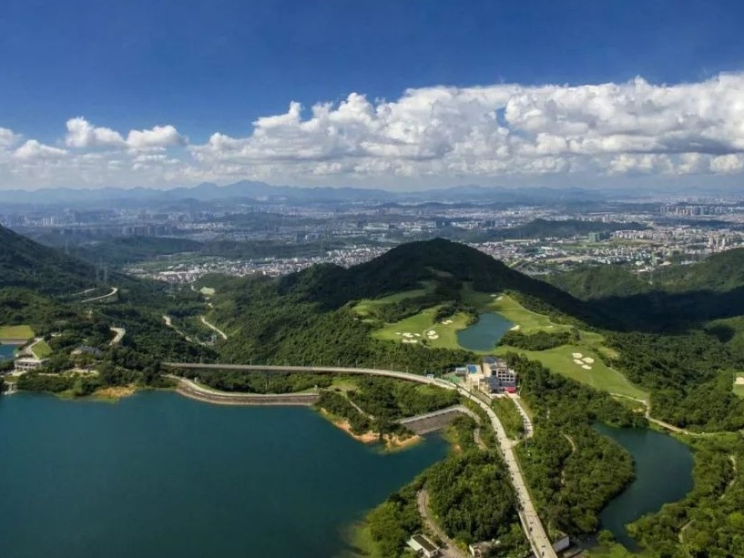 碧岭：凝心聚力抓党建，为民服务铸和谐