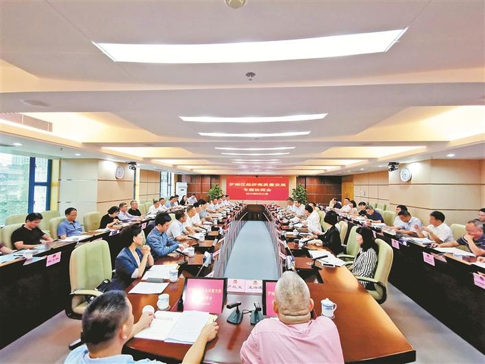 罗湖政协：以高质量履职助力城区高质量发展