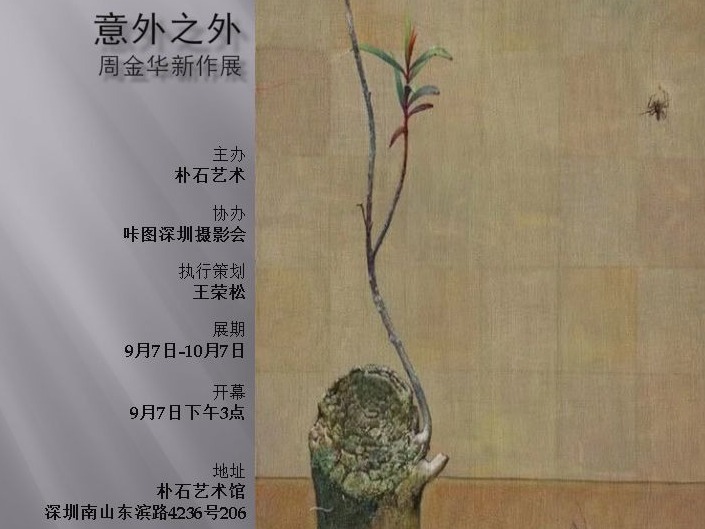 看展 | 致广大而尽精微！去深圳朴石艺术馆观周金华新作