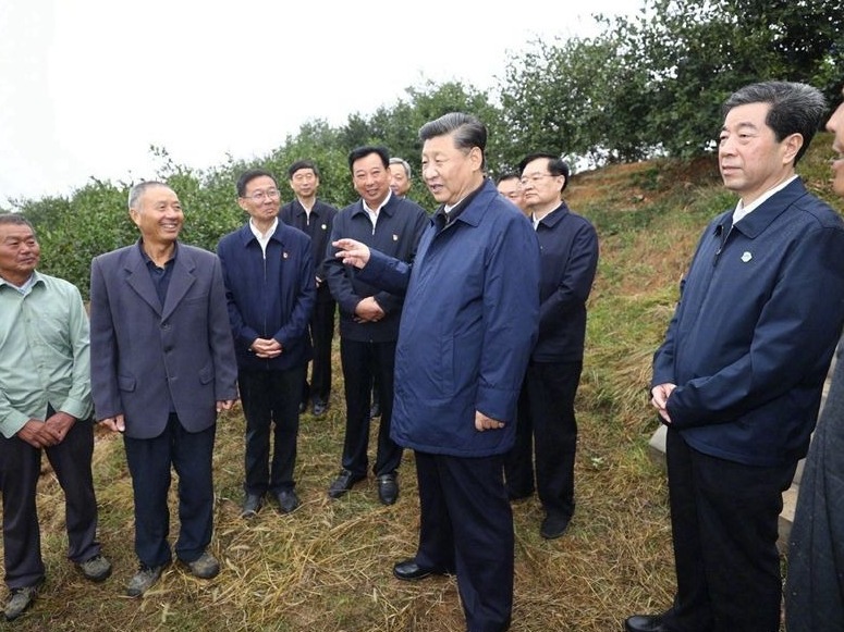 习近平：路子找到了，就要大胆去做
