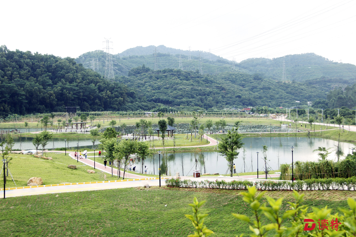 以实字贯穿开展主题教育的全过程契爷石水库湿地公园是清溪积极开展