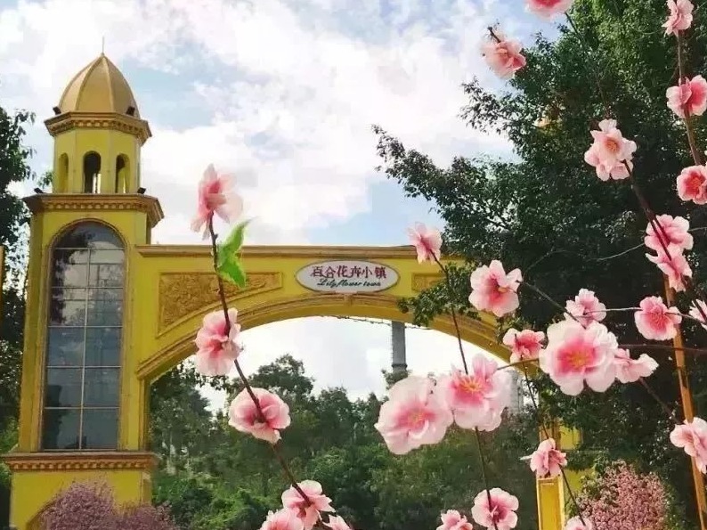 不忘初心 花开鹏城 | 深圳第一届百合杯花艺大赛开始报名！