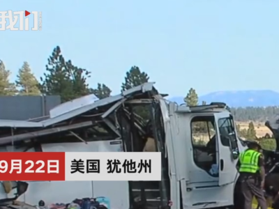 美大巴事故致4中国游客死亡：司机首次载客 疑一心多用