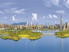 南山区：将主题教育显著成效转化为推动创新发展的实际成果