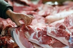 广东召开全省稳定生猪生产保障市场供应电视电话会议：确保生猪产能稳定、猪肉供应有保障