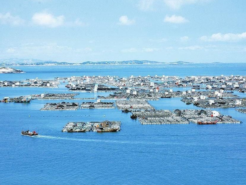 2019海博会10月在深举行 设三大板块推动海洋经济高质量发展