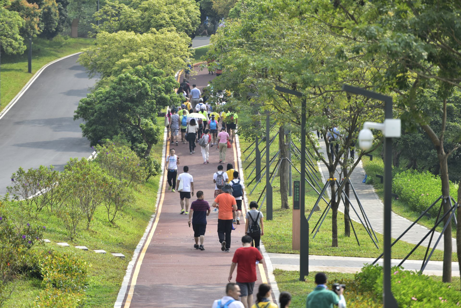 罗湖淘金山图片