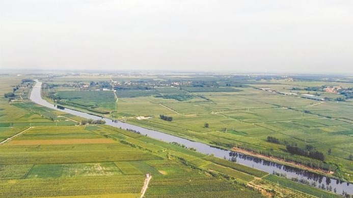 中国力量｜“渤海粮仓”：白茫茫盐碱地变成丰收“大粮仓”