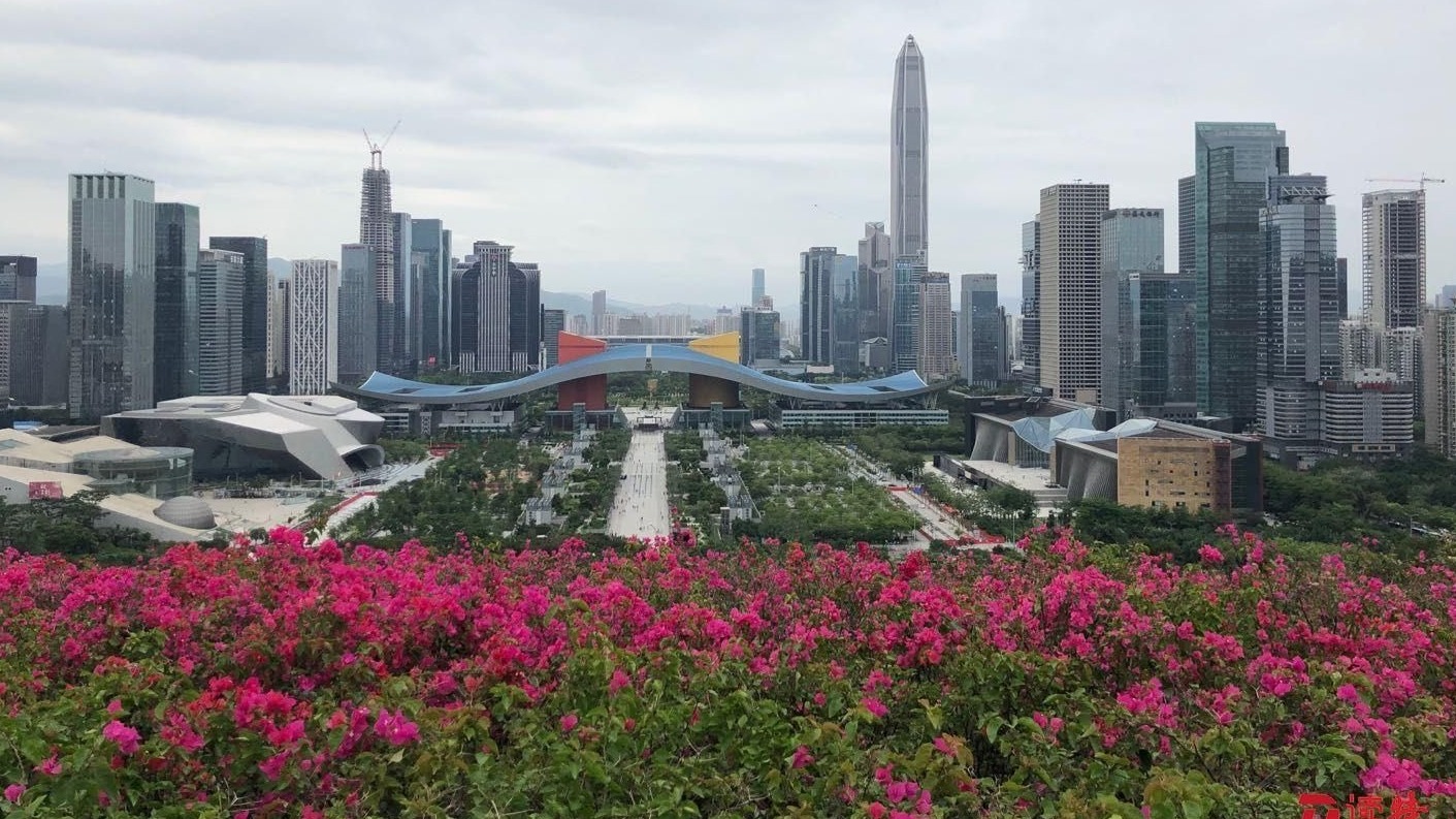 深圳到本世纪中叶将成为全球生态标杆城市！四大路径推进建设美丽中国典范 