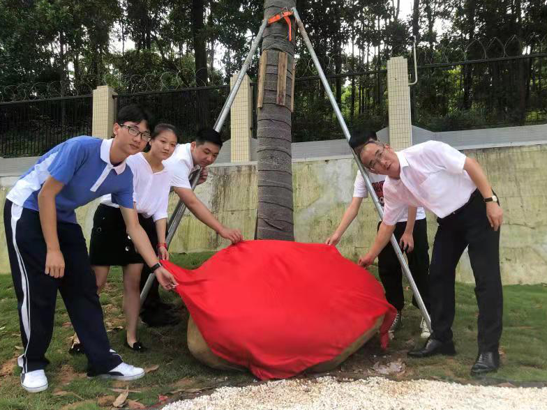 我为母校种下一片绿！龙岗职校建成“校友林”            