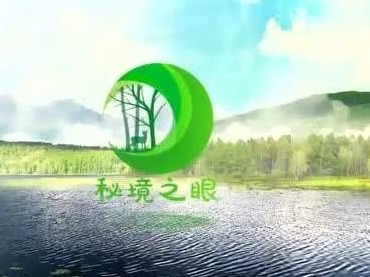 《秘境之眼》收视破9亿人次！探寻2019最精彩的中国动物世界