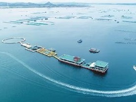2018年中国海洋经济总量达83415亿元