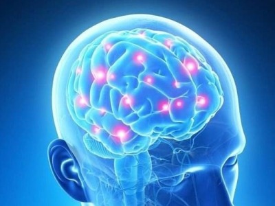 哈佛医学院研究：大脑过度活动与较短的寿命有关