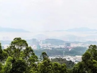 老旧厂房“腾笼换鸟”，坪山区促进社区集体经济产业转型发展