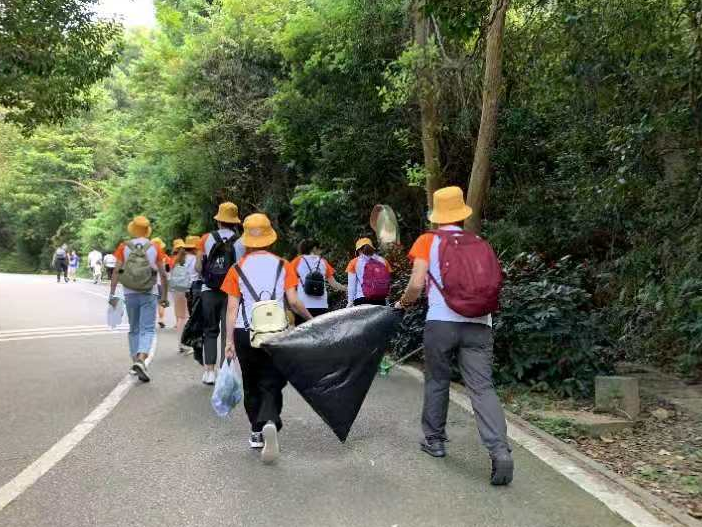 登山不忘捡垃圾！龙岗区70余名基层职工登梧桐山