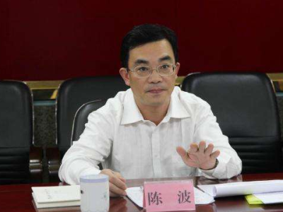 广东省文化和旅游厅副厅长陈波接受纪律审查和监察调查