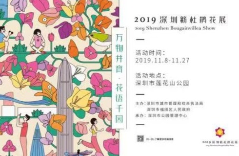 11月8日，深圳最美秋季花海就在莲花山盛开，抢先看最靓景点