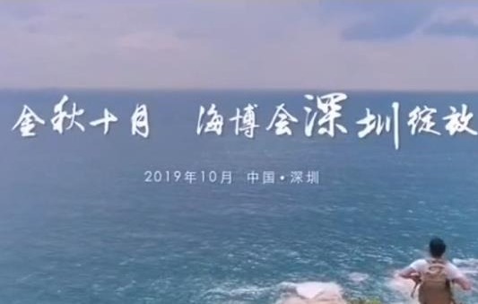 雪龙号、灯光秀、山海大片……  2019海博会最热公众活动都在这里啦