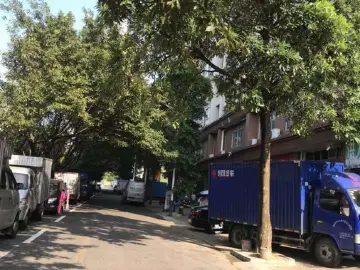 不忘初心牢记使命｜坑梓街道立行立改推动主题教育见实效