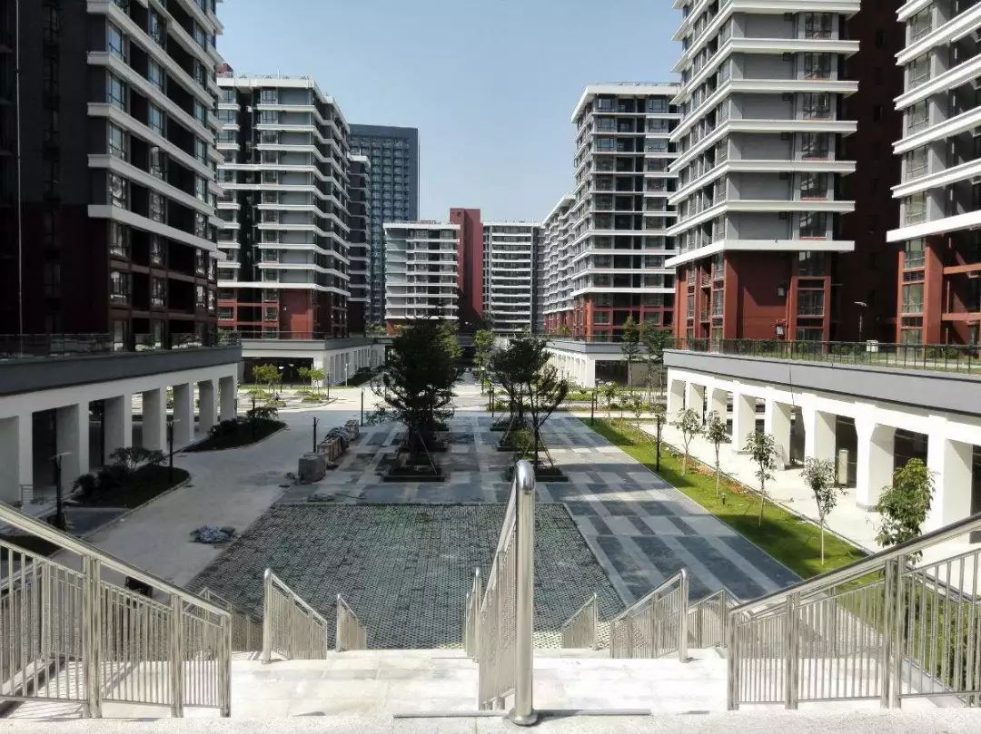 南山区最新公共住房建设计划出炉！最全指南看看你有资格吗？