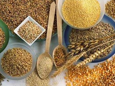 《中国的粮食安全》白皮书发表