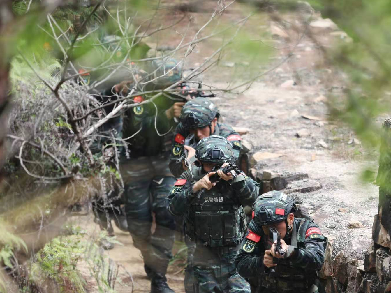 全面锤炼处突反恐能力！武警广东省总队东莞片区“魔鬼周”极限训练