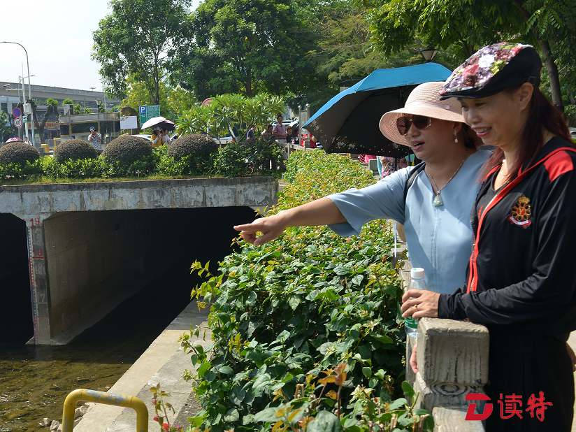 布吉河治理情况如何？百余居民实地看变化谈感受献良策